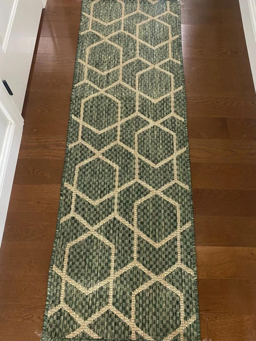 New Nourison horizon Green Geometric Runner rug indoor/outdoor 2’x6’